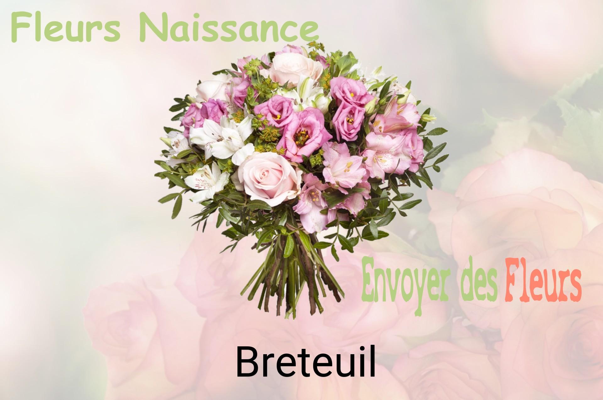 Bouquet de fleurs de naissance livré à Breteuil